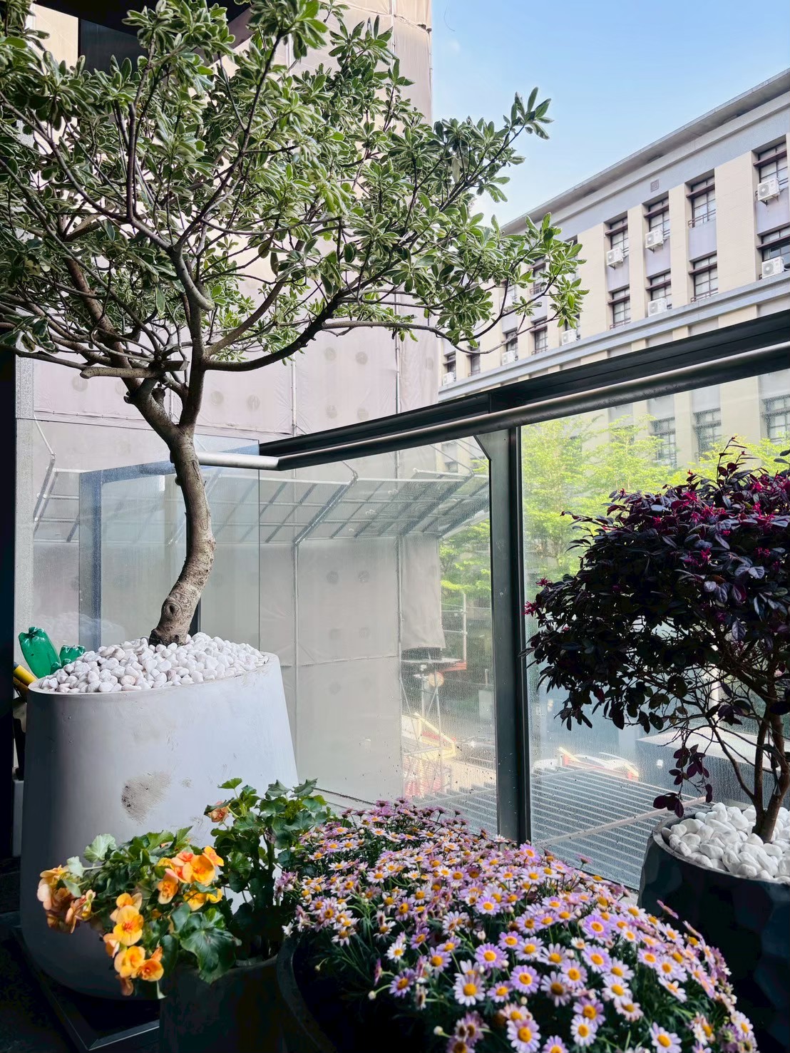 中山區露臺景觀案 - 歐式庭園植栽配置